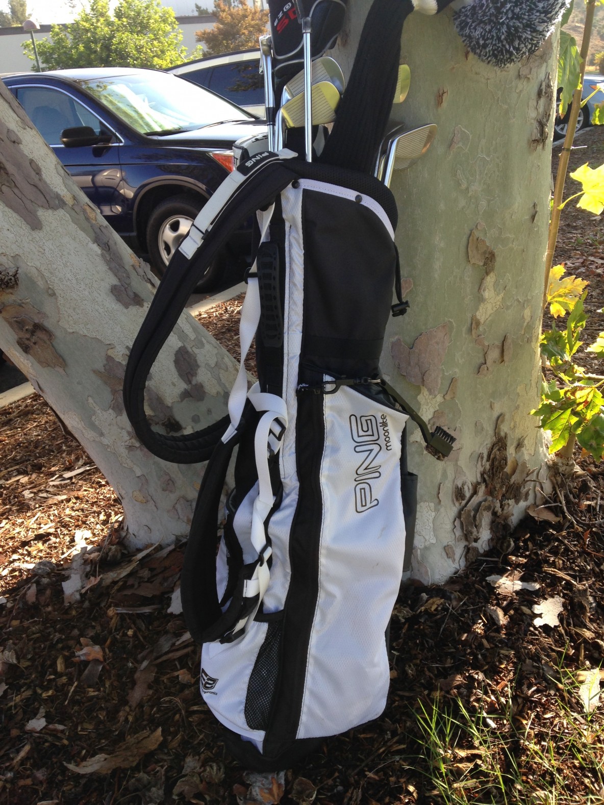 Ping Moonlite Review Graylyn Loomis