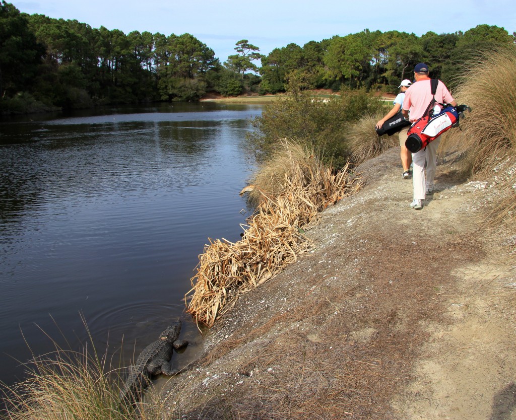 Creek Fishing - Kiawah Island Golf Resort