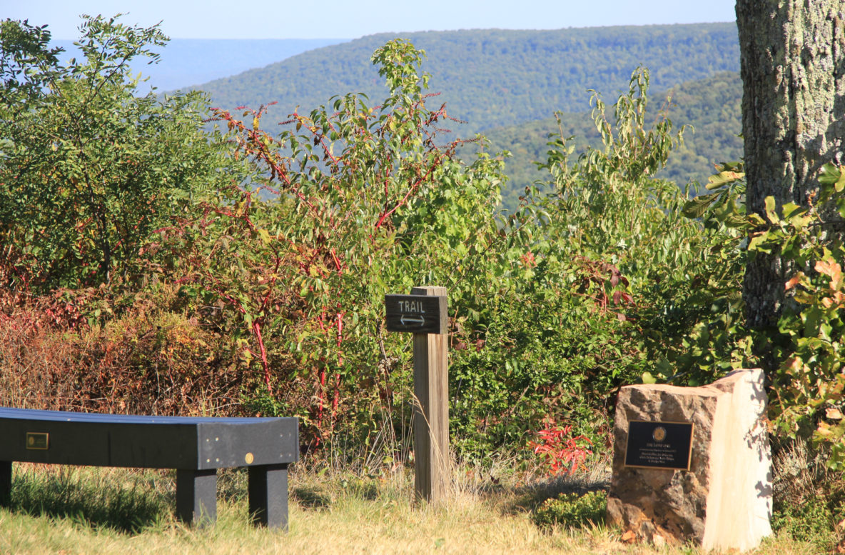 The Course at Sewanee Review Graylyn Loomis