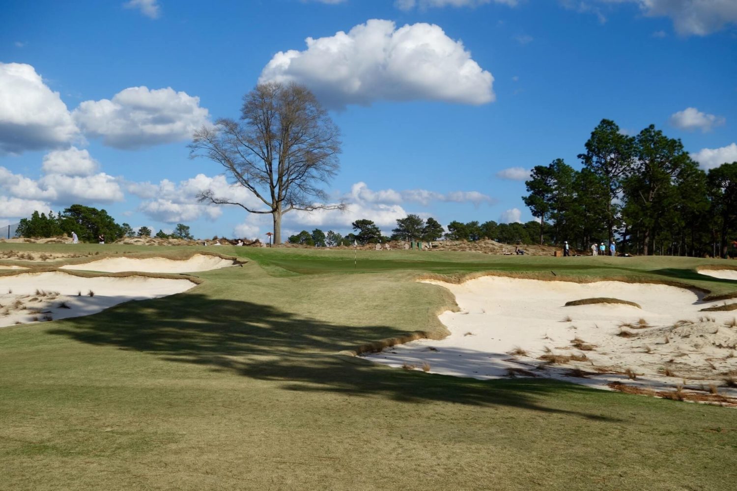 The Cradle at Pinehurst Resort Review Graylyn Loomis