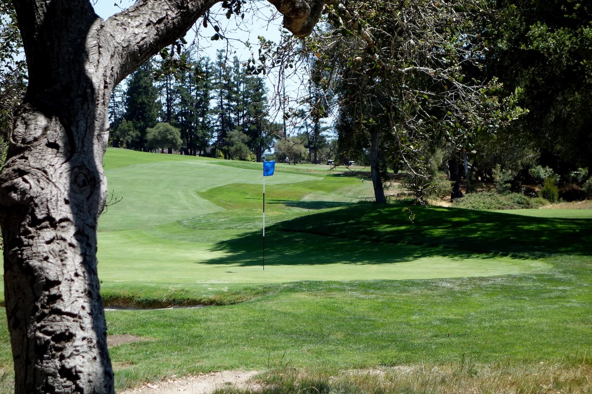 Pasatiempo Golf Club Review MacKenzie's Masterpiece Graylyn Loomis