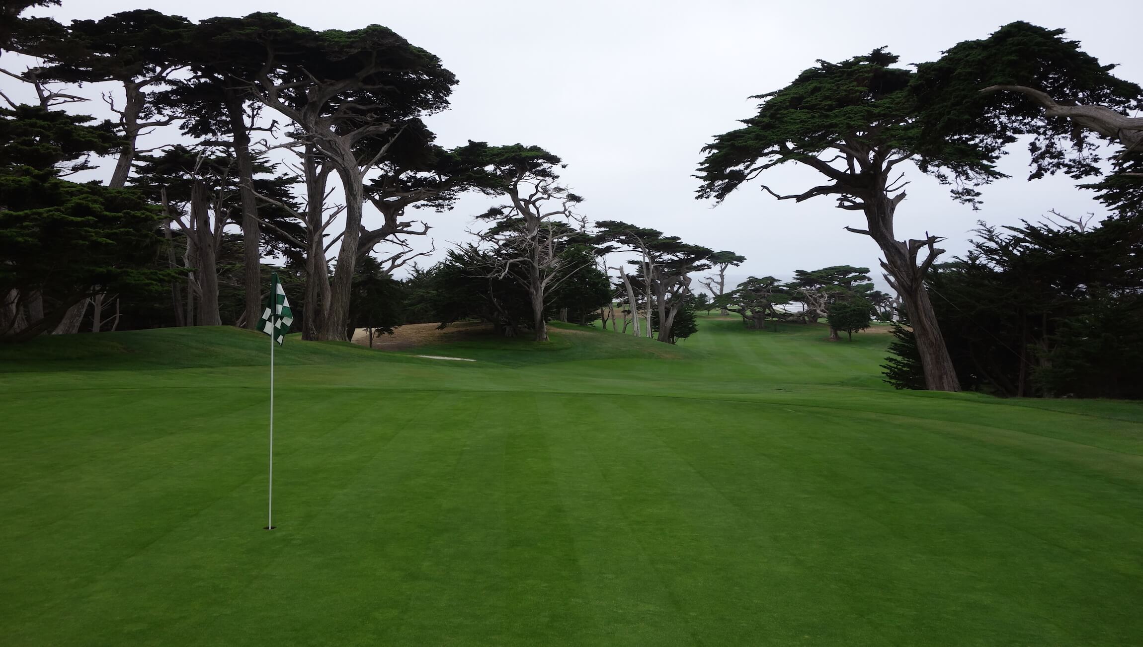 Cypress Point Review - Graylyn Loomis