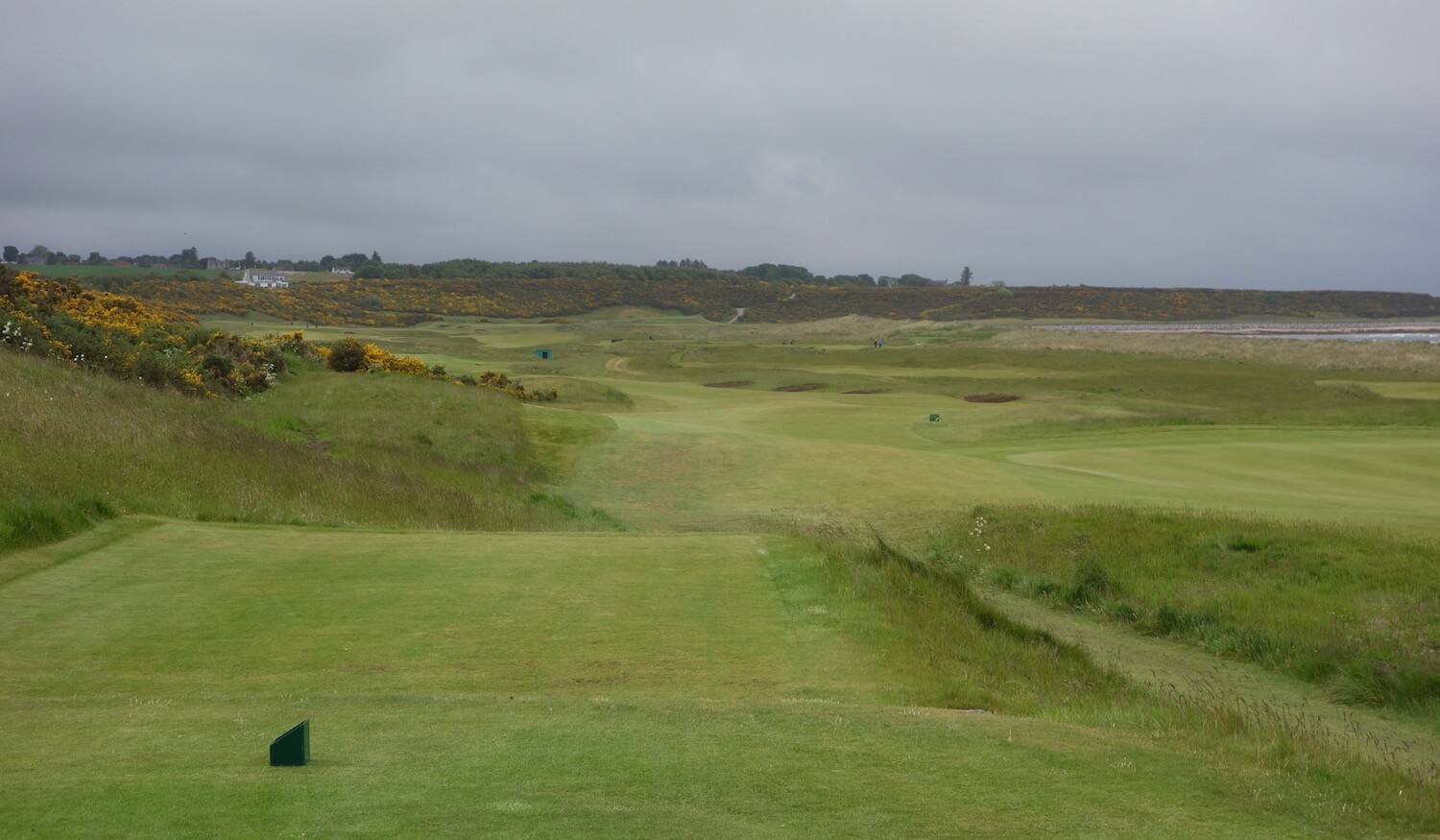 Royal Dornoch Golf Club Review - Graylyn Loomis